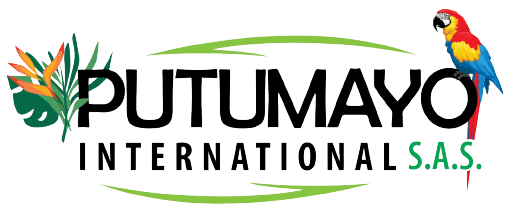 Putumayo International